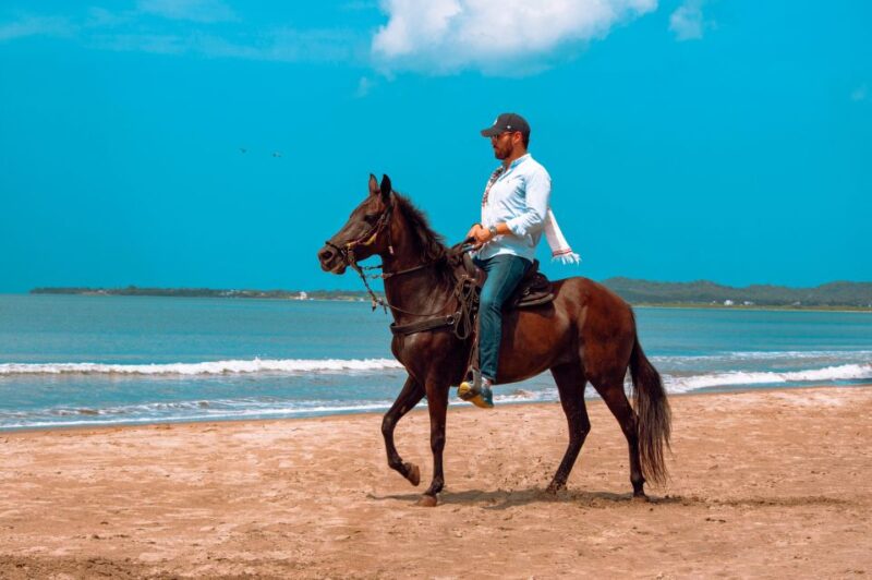 Cartagena: Beach Horse Ride and Colombian Horse Culture - Participant Information
