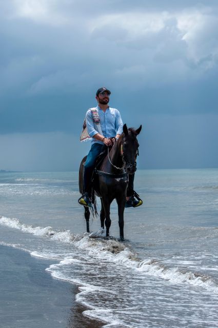 Cartagena: Beach Horse Ride and Colombian Horse Culture - Booking and Logistics