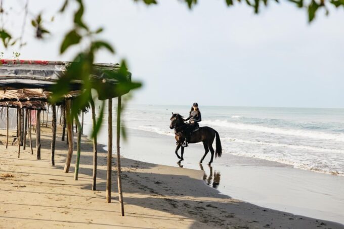 Cartagena: Beach Horse Ride and Colombian Horse Culture - Recap