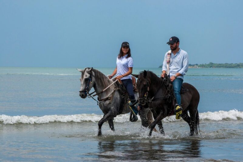 Cartagena: Beach Horse Ride and Colombian Horse Culture - Itinerary Details