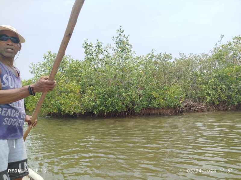 Cartagena: Bird Watching Experience in the Mangrove - Pricing and Reservations