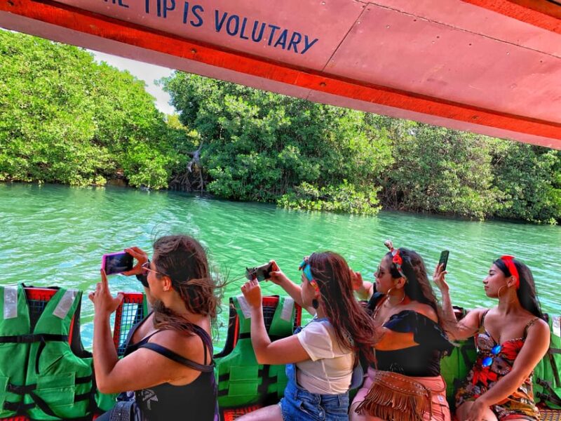 Cartagena: Bird Watching in the Mangroves on a Typical Boat - Inclusions and Amenities