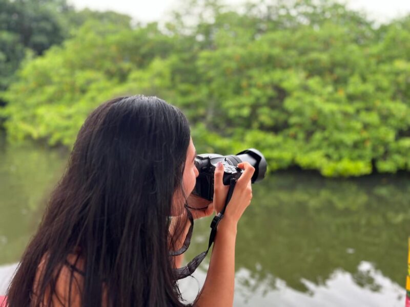 Cartagena: Bird Watching in the Mangroves on a Typical Boat - Experience Highlights