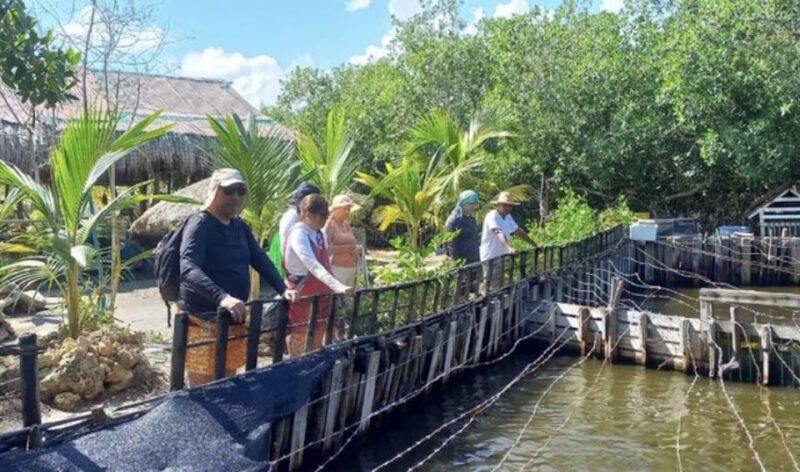 Cartagena: Canoe Tour Through Mangroves - Key Points