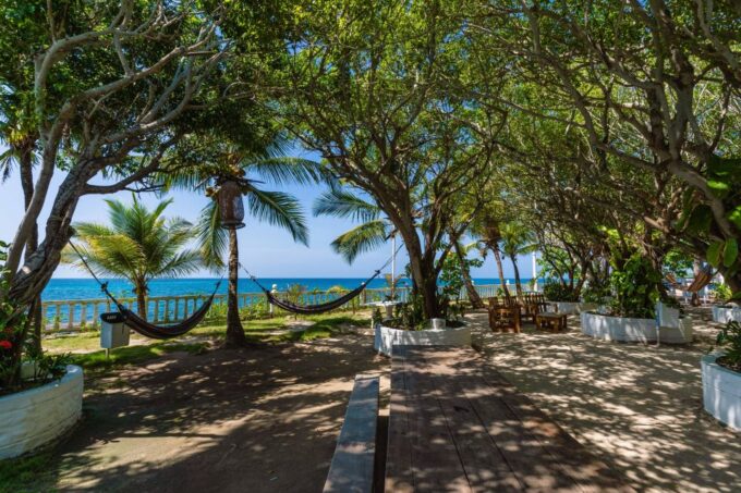 Cartagena: Cocoliso Island Day Tour With All Inclusive - Important Considerations