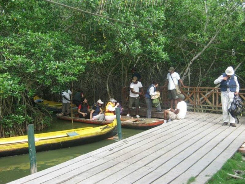 Cartagena, Colombia: Sail in the Mangroves of Cartagena - Highlights of the Tour