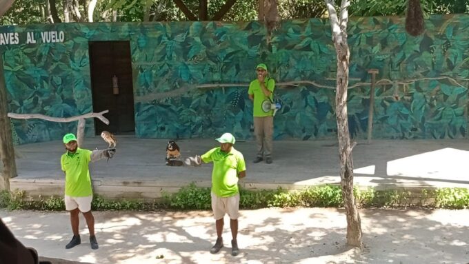 Cartagena: Day Tour Aviary and Playa Blanca, Barú by Bus! - Recap