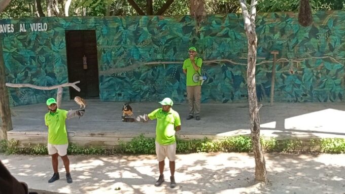 Cartagena: Day Tour Aviary Entrance and Playa Blanca by Bus! - Frequently Asked Questions