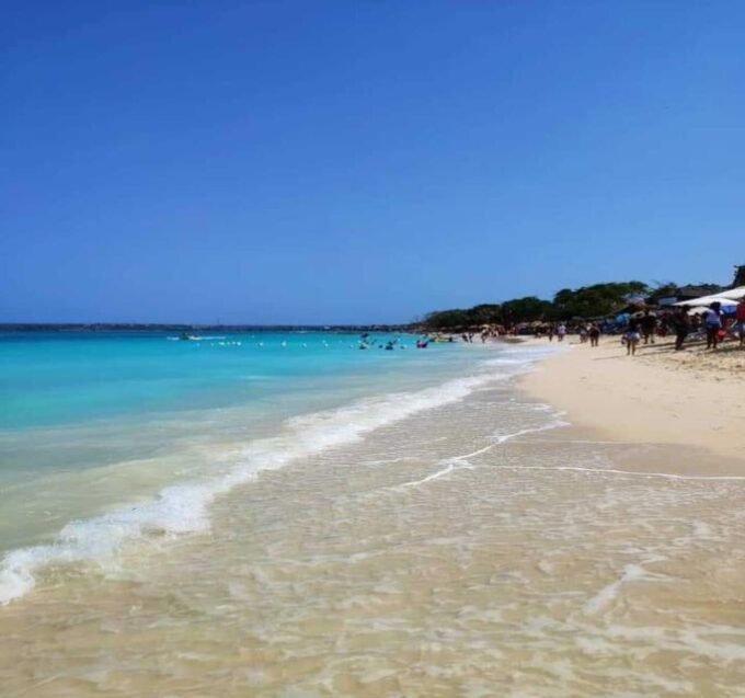 Cartagena: Day Tour Aviary Entrance and Playa Blanca by Bus! - Customer Reviews