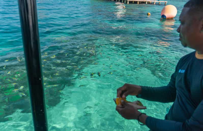 Cartagena: Ecoplan on Barú, Aviary and Oceanarium in One Day - Key Points
