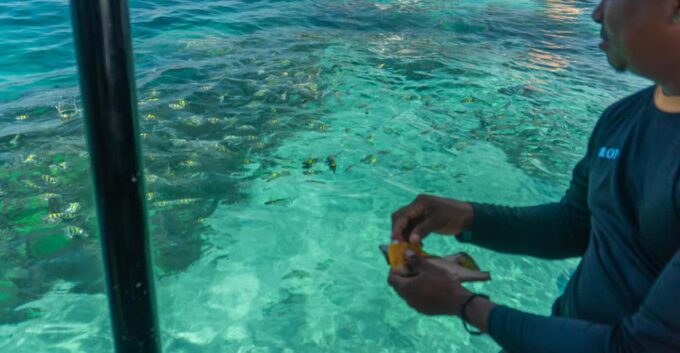 Cartagena: Ecoplan on Barú, Aviary and Oceanarium in One Day - Exploring Barú Island
