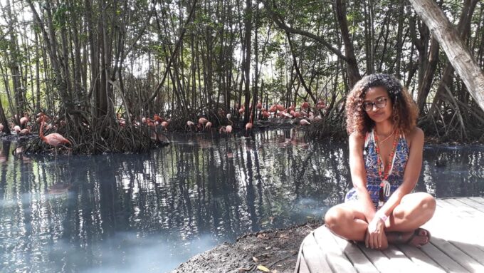 Cartagena: Ecoplan on Barú, Aviary and Oceanarium in One Day - Visiting the National Aviary