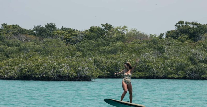 Cartagena: Efoil Fliteboard Experience BARÚ - Inclusions and Requirements