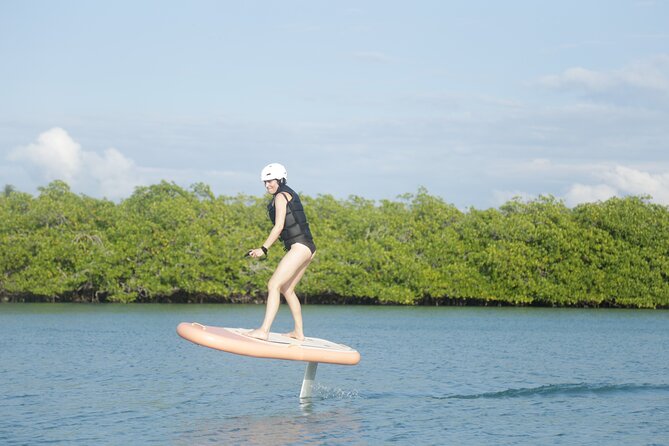 Cartagena Efoil FliteBoard Experience in Baru 1H - Overview of the Experience