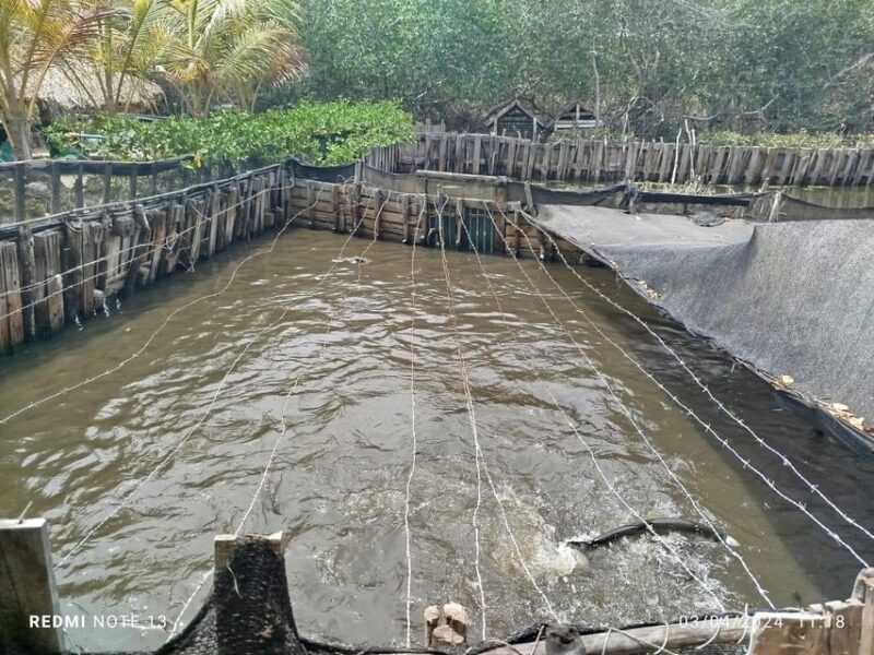 Cartagena: FISHERMENS ISLAND in the MANGROVES by Canoe - Cultural Experience
