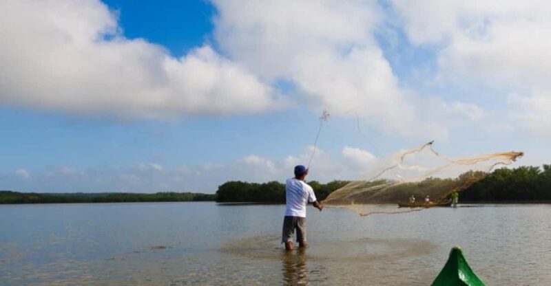 Cartagena: Fishing Experience With Native on Mangrove - Key Points