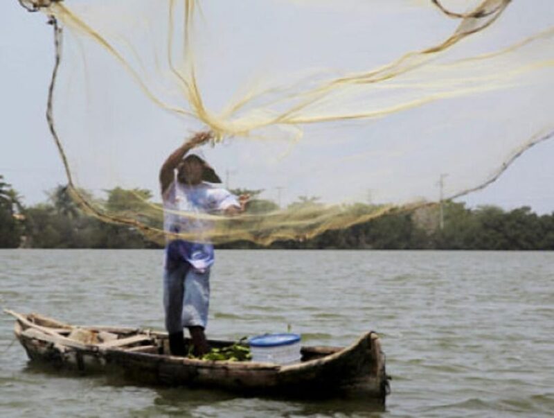 Cartagena: Fishing Experience With Native on Mangrove - Itinerary Details