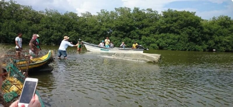Cartagena: Fishing Experience With Native on Mangrove - Experience Highlights