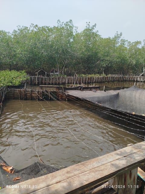 Cartagena: Fishing Experience With Native on Mangrove - Pickup Locations