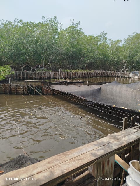 Cartagena: Fishing Experience With Native on Mangrove - Pricing and Cancellation