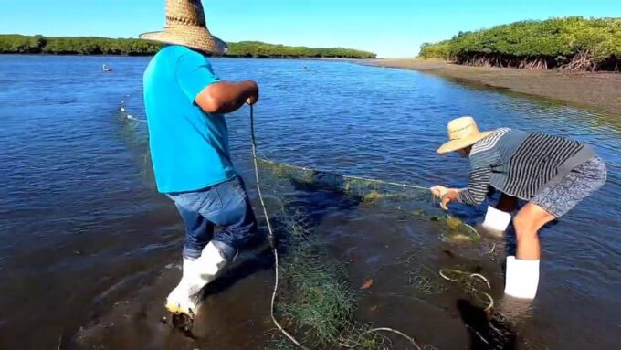 Cartagena: Fishing Experience With Native on Mangrove - Frequently Asked Questions