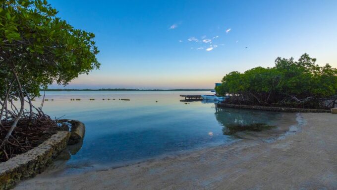Cartagena: Full Access Day Pass to Aura Barú Beach Hotel - Inclusions and Exclusions