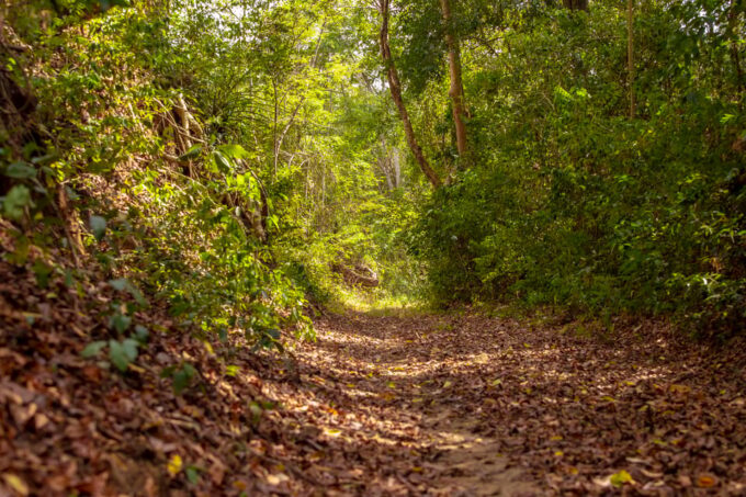 Cartagena: Guided Hiking Tour - Inclusions