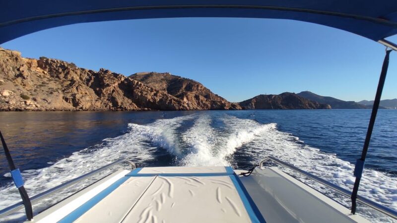 Cartagena: Guided Tour by Boat to the Island of the Doves - Key Points
