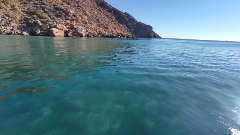 Cartagena: Guided Tour by Boat to the Island of the Doves - Restricted Activities and Recommendations