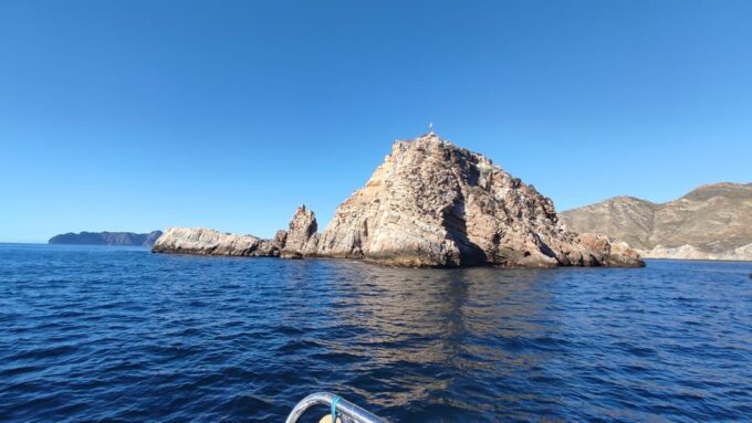 Cartagena: Guided Tour by Boat to the Island of the Doves - Exclusive Access to Hidden Coastal Areas
