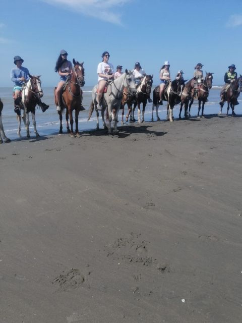 Cartagena: HORSE RIDING on the Beach PHOTOS and LUNCH - Participant Information