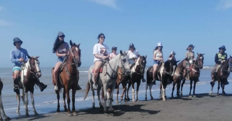 Cartagena: Horse Riding on the Beaches of Cartagena & PHOTOS - Meeting Point and Transportation