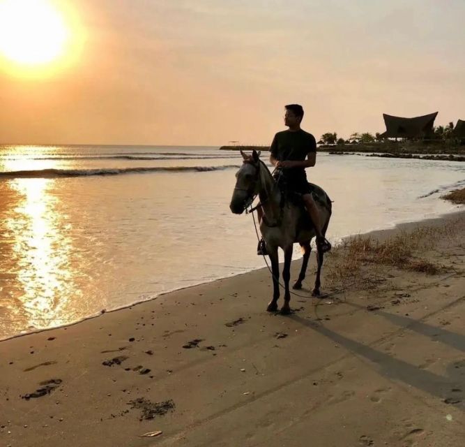 Cartagena: Horseback Ridding Excursion on the Beach - Booking and Cancellation