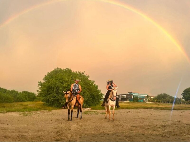 Cartagena: Horseback Ridding Excursion on the Beach - Transportation and Pickup