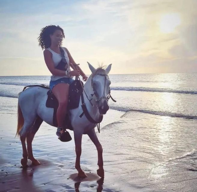 Cartagena: Horseback Ridding Excursion on the Beach - Customer Feedback