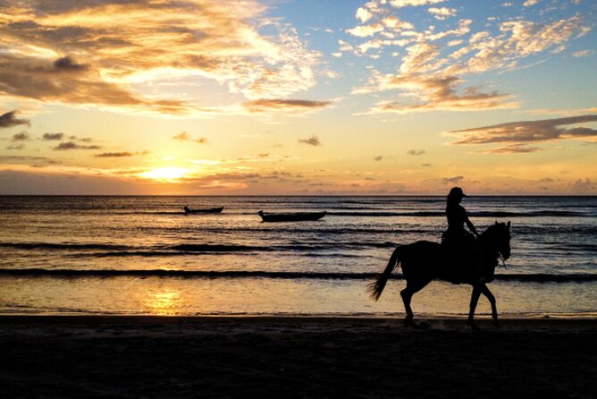 Cartagena: Horseback Riding at the Beach During Day or Sunset - Key Points