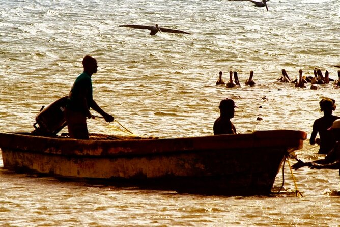 Cartagena: Horseback Riding at the Beach During Day or Sunset - Guided Tour With Cultural Insights
