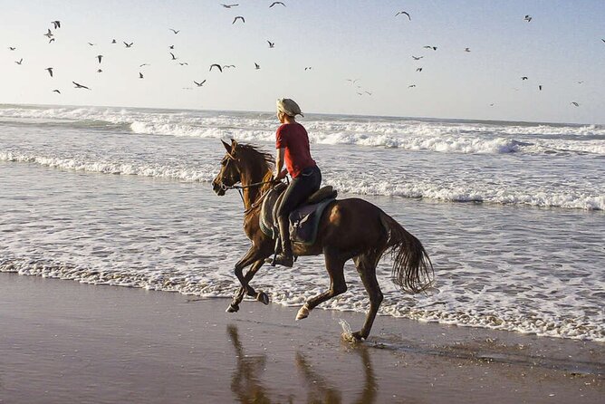 Cartagena: Horseback Riding at the Beach During Day or Sunset - Additional Important Information