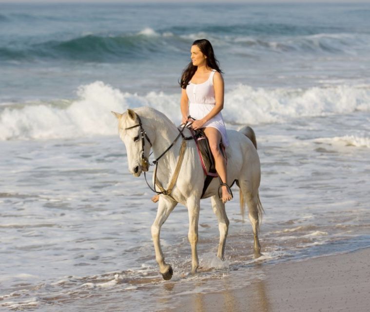 Cartagena: Horseback Riding on the Beach at Sunset - Tour Itinerary and Experience