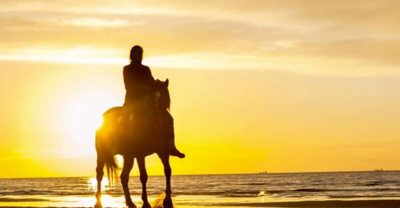 Cartagena: Horseback Riding on the Beach at Sunset - Highlights and Features