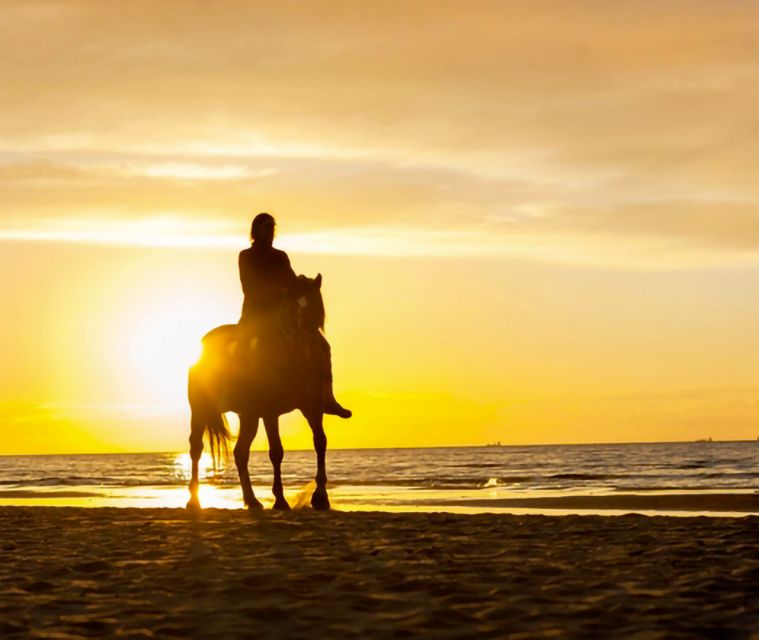 Cartagena: Horseback Riding on the Beach at Sunset - Meeting Point and Directions