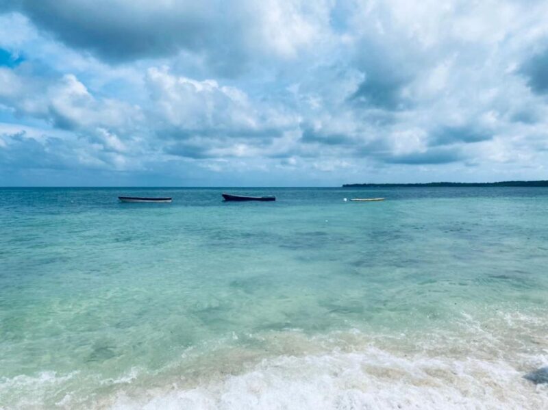 Cartagena: LUMINOUS Plankton, Playa Blanca, Lunch and Snack - Key Points
