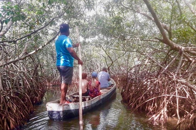 Cartagena Mangrove Tour - Key Points