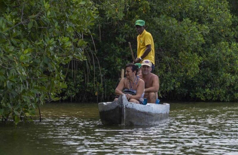 Cartagena Mangrove Tour - Key Points