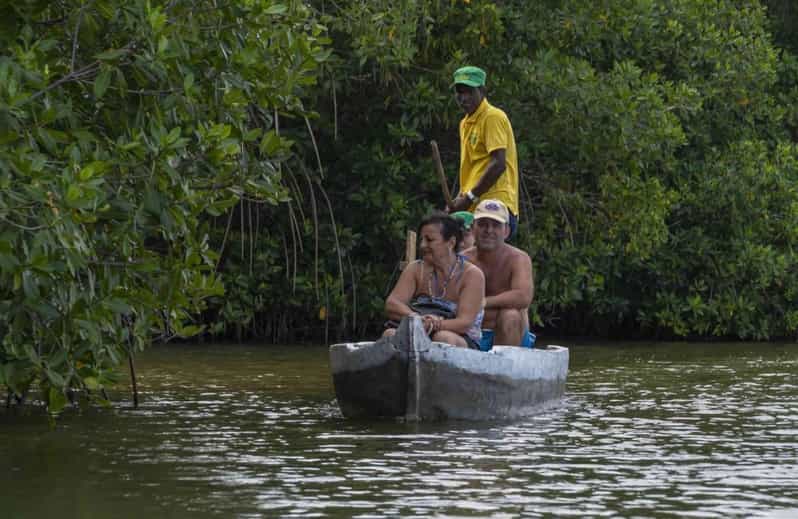 Cartagena Mangrove Tour - Experience Highlights
