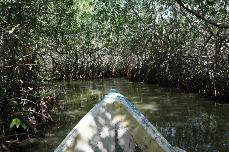 Cartagena Mangrove Tour - Exclusions
