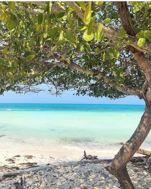 Cartagena: Mucura and Santa Cruz Islands Tour Spectacular - Meals and Lunch Options