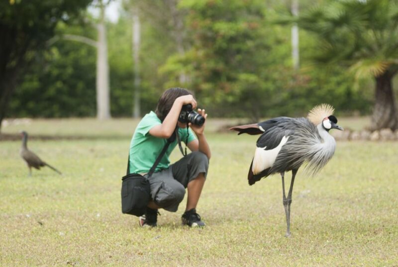 Cartagena: National Aviary of Colombia Entrance Tickets - Key Points