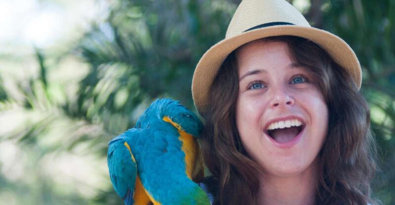 Cartagena: National Aviary of Colombia Entrance Tickets - Exploring the Aviary