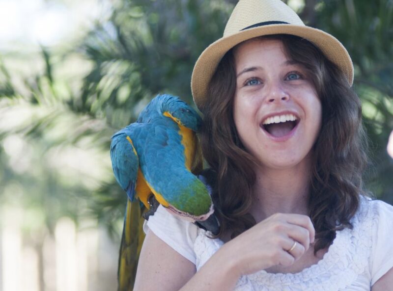 Cartagena: National Aviary of Colombia Entrance Tickets - Bird Diversity and Habitats